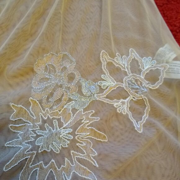 ZARA Peach Elegant Sheer Embroidered Floral-Lace mesh dress - Picture 6 of 9